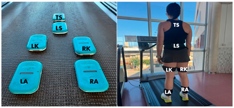 Segmental External Load in Linear Running in Elite Futsal Players: A Multifactorial and Individual Variability Analysis Using Linear Mixed Models.