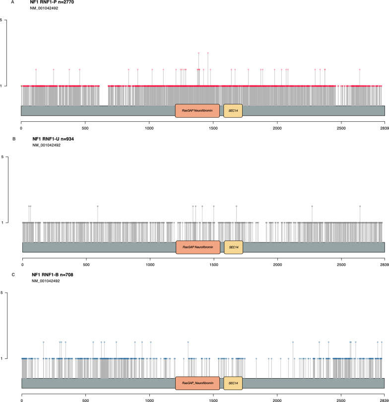 RENOVO-NF1 accurately predicts NF1 missense variant pathogenicity.