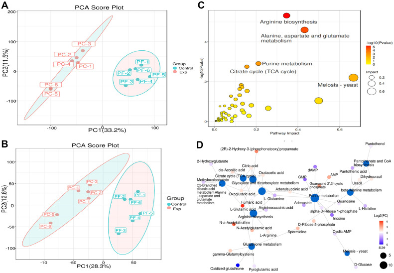 Comparative Multi-Omics Analysis and Antitumor Activity of <i>Phylloporia crataegi</i> and <i>Phylloporia fontanesiae</i>.