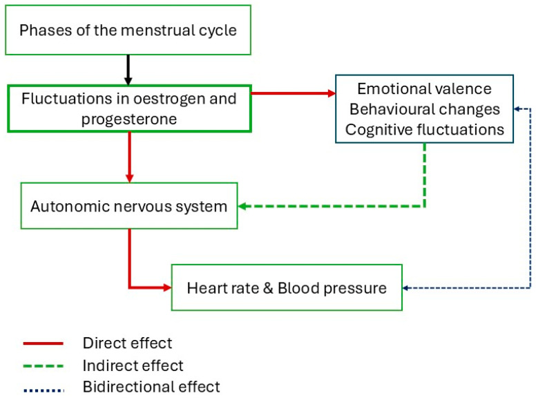 Autonomic Nervous System, Cognition, and Emotional Valence During Different Phases of the Menstrual Cycle-A Narrative Review.