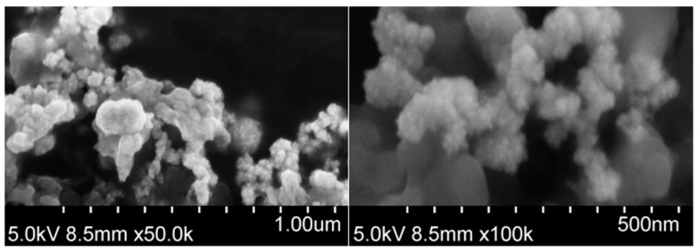 An Amperometric Enzyme-Nanozyme Biosensor for Glucose Detection.