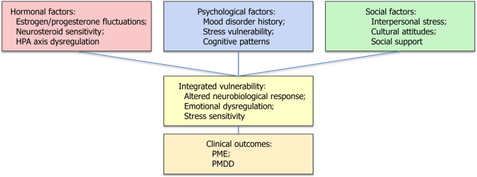 Unmasking the cycle: Premenstrual and menstrual exacerbation of psychiatric disorders and impact on female mental health.
