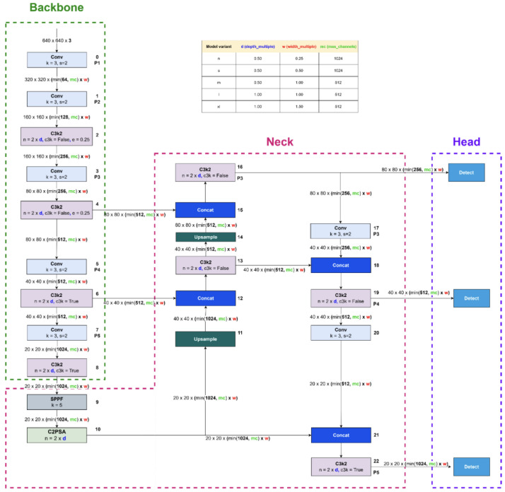 From Detection to Diagnosis: An Advanced Transfer Learning Pipeline Using YOLO11 with Morphological Post-Processing for Brain Tumor Analysis for MRI Images.