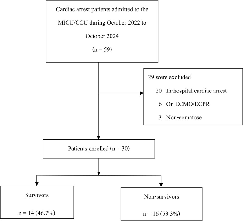 Respiratory Drive and Survival in Comatose Out-of-Hospital Post-Cardiac Arrest Patients.