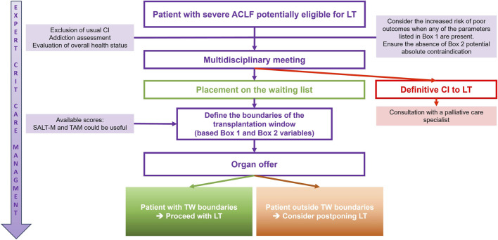 Liver Transplantation in the Context of Acute-On-Chronic Liver Failure (ACLF): Where Do We Stand in 2025?