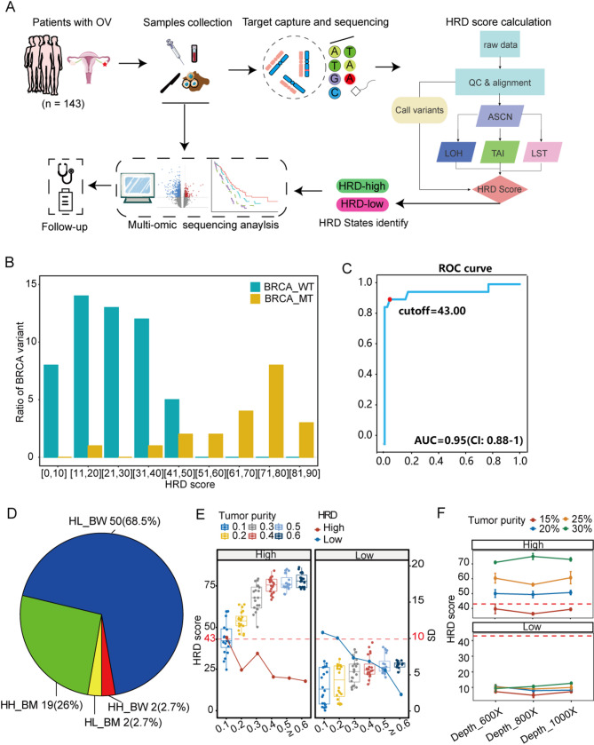 Genomic and transcriptomic data reveal molecular differences between homologous recombination deficiency subgroups in Chinese ovarian cancer patients.