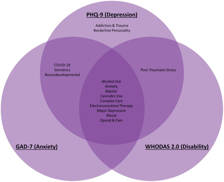 The BrainHealth Databank: a systems approach to data-driven mental health care and research.