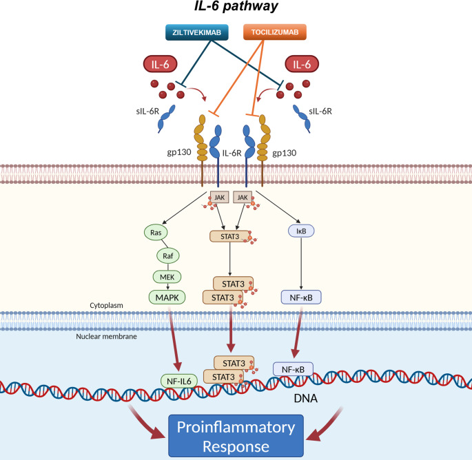 Interleukin-6 in Cardiogenic Shock.