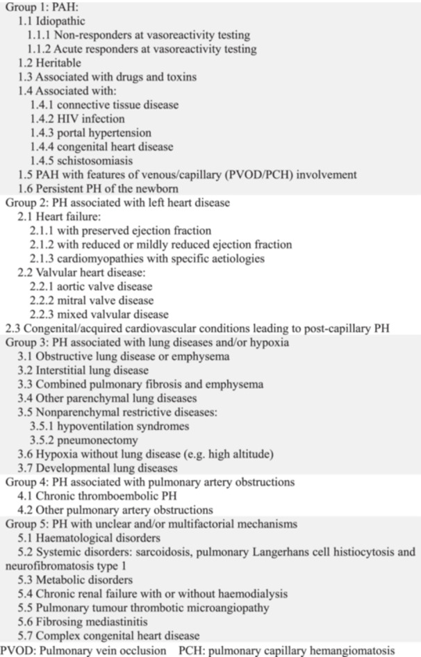 Analysis of Clinical Characteristics of 54 Dead Pregnant Patients With Pulmonary Hypertension.