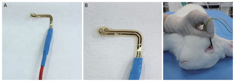 Development of a Flexible Electrode for Electrical Stimulation of Rabbit Extraocular Muscle.