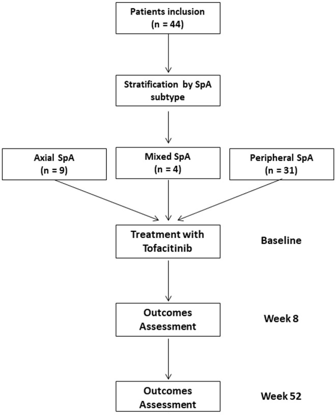Real-world Effectiveness of Tofacitinib on Ulcerative Colitis-Associated Spondyloarthropathy: a multicenter prospective study from the Italian Group for the Study of Inflammatory Bowel Diseases (IG-IBD).