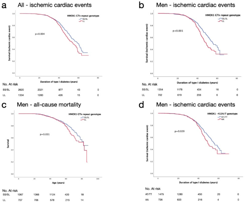 Heme oxygenase-1 polymorphisms associate with ischemic cardiac complications and all-cause mortality in type 1 diabetes.