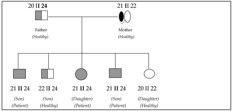 Thirty-Three Years Follow-Up of a Greek Family with Abetalipoproteinemia: Absence of Liver Damage on Long-Term Medium Chain Triglycerides Supplementation.