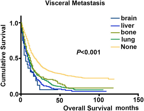 Risk and prognosis for brain metastasis in primary metastatic cervical cancer patients: A population-based study.