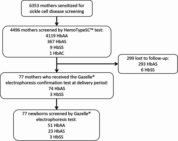 Integration of newborn screening for sickle cell disease into primary health care in Bukavu, Democratic Republic of the Congo: a pilot study.