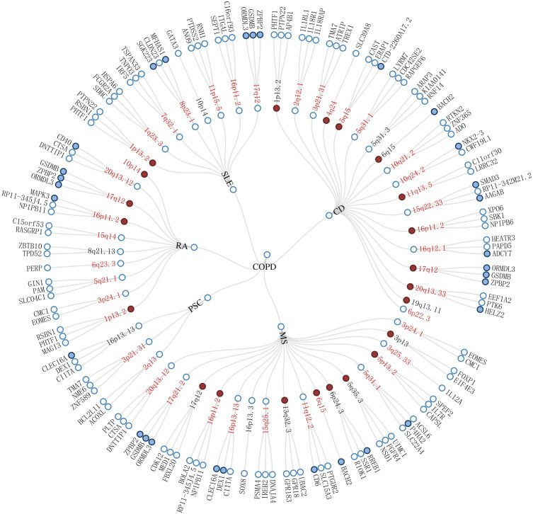 Cross-Trait Genome-Wide Association Study Identifies Shared Genetic Risk Loci Between COPD and Five Autoimmune Diseases.