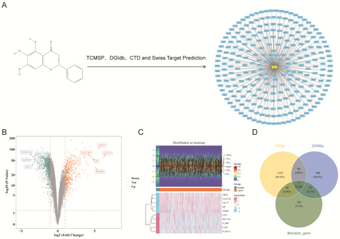 Machine learning-based transcriptomic analysis identifies candidate genes in sepsis-induced coagulopathy and explores the immunomodulatory potential of baicalein.