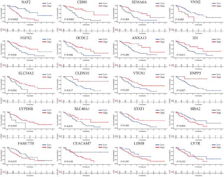 <i>NAT2</i>: A Novel Target in Intrahepatic Cholangiocarcinoma and its Role in Modulating Tumor Behavior.