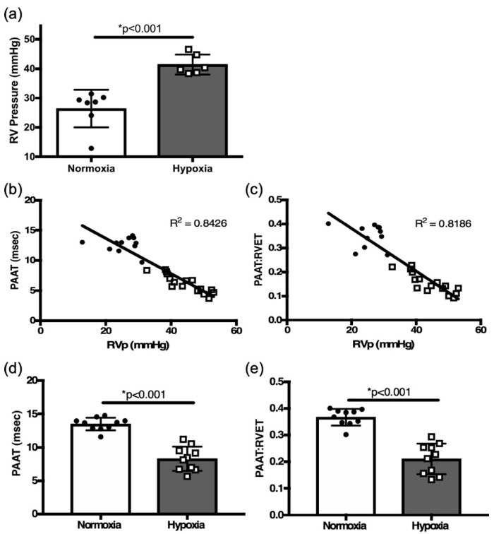 Echocardiographic Assessment of Pulmonary Hemodynamics and Right Ventricular Performance in Neonatal Murine Hypoxia.