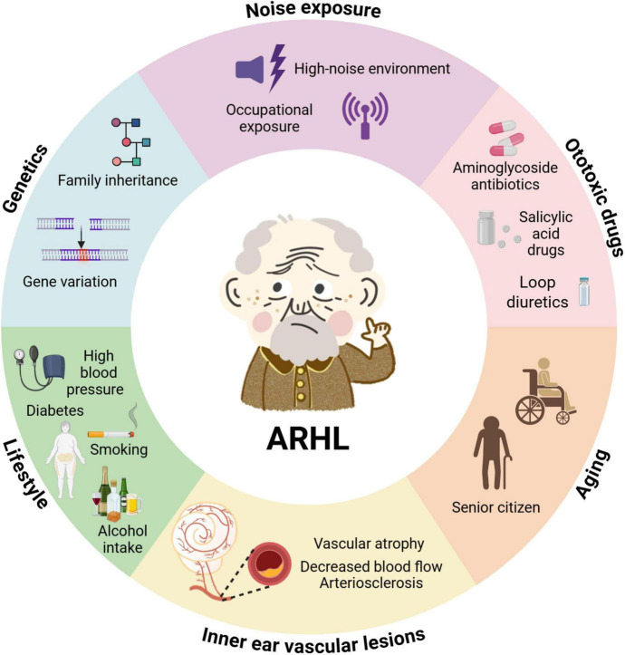 Pathophysiological insights and therapeutic developments in age-related hearing loss: a narrative review.