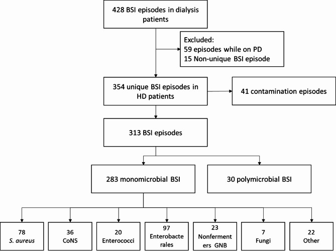 Secular trends of bloodstream infections in hemodialysis patients: insights from a longitudinal Swiss study.