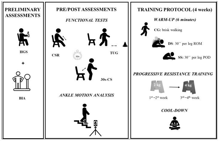 Stretching Before Resistance Training as a Strategy to Improve Stair Descent Performance in Older Women.