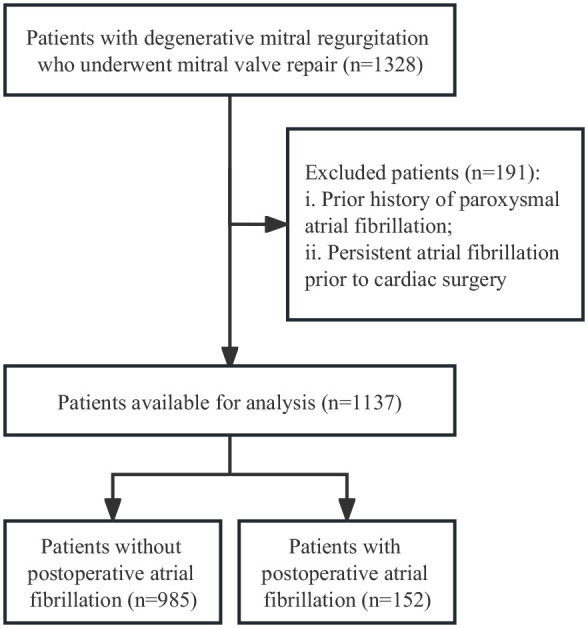 Preoperative Risk Factors for Acute Postoperative Atrial Fibrillation in Patients Undergoing Mitral Valve Repair for Degenerative Mitral Regurgitation: Insights Into Cardiac Geometry.