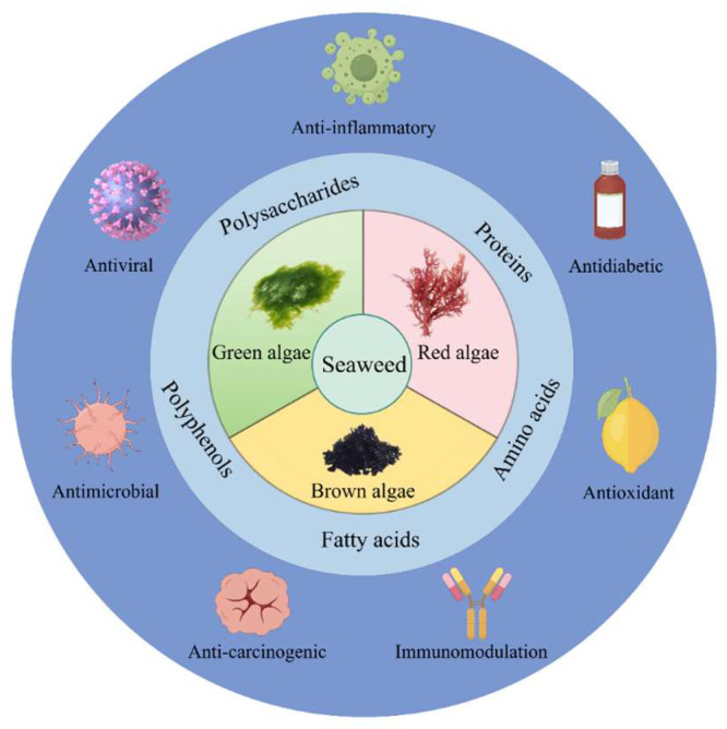 Unraveling of Seaweed Bioactive Substances and Their Nutritional Regulation Functions for Poultry.
