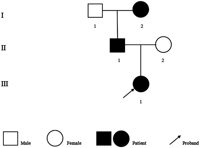 Pathogenic synonymous variation of the COL4A3 gene causing Alport syndrome comorbid with IgA deposition in a toddler: a case report.
