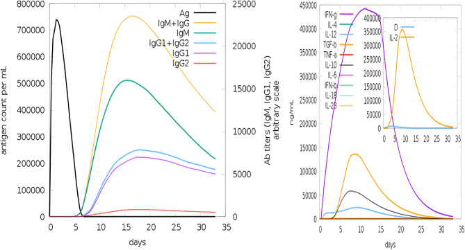 Reverse vaccinology-based identification and in silico characterization of immunogenic membrane proteins of Salmonella Typhimurium as novel vaccine targets against multidrug-resistant infections.
