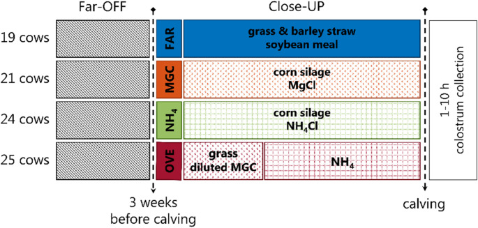 Pre-partum feeding strategies affect colostrum metabolite levels related to nitrogen and energy metabolism in Holstein dairy cows.