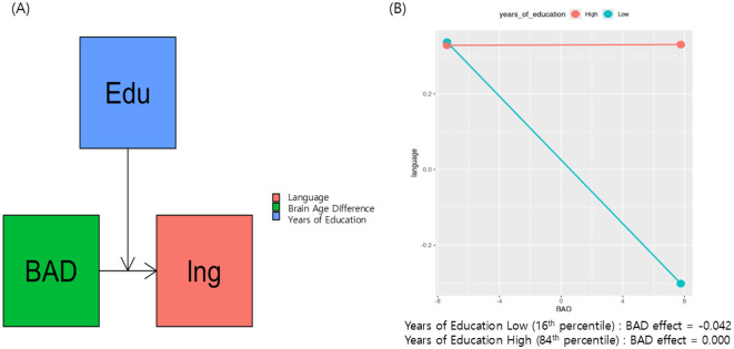 Buffering brain aging: education moderates language impairment in Parkinson's disease.