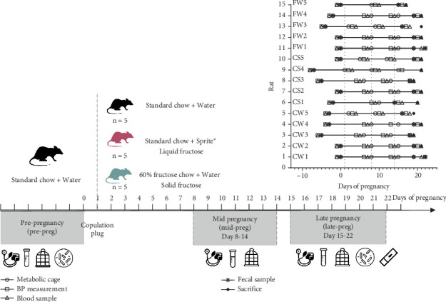 Impact of Fructose-Enhanced Solid and Soft Drink Diets on Metabolism, Physiology, and Gut Microbiome in Pregnant Rats.
