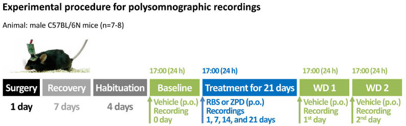 Effects of Chronic Administration of a Standardized Rice Bran Supplement on Sleep Architecture and Profiles in Mice: A Comparative Study with a Hypnotic Drug Zolpidem.