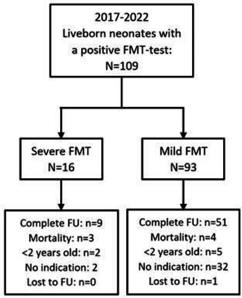 Cerebral injury and long-term neurodevelopment impairment in children following severe fetomaternal transfusion: a retrospective cohort study.
