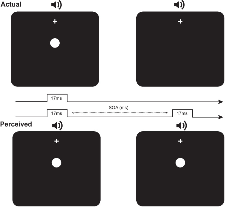 Assessing the reliability of an online measure of the temporal binding window of audiovisual integration.