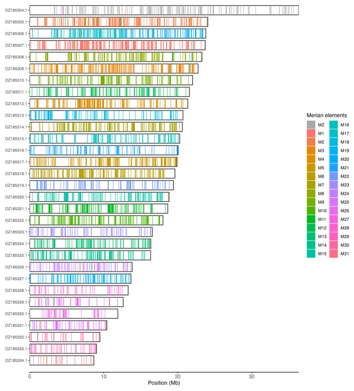 The genome sequence of <i>Malacosoma alpicola</i> Staudinger, 1871 (Lepidoptera: Lasiocampidae).