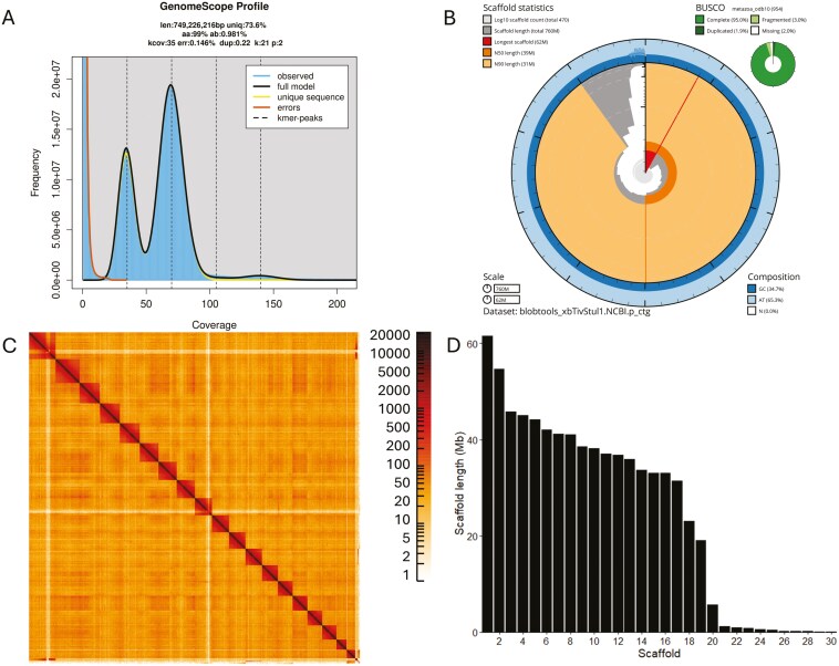 A chromosome-length genome assembly for the Pismo clam, Tivela stultorum, a long-lived bivalve species severely impacted by overfishing.