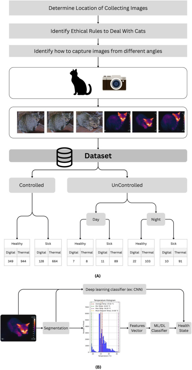 TICD: a novel thermal imaging cats' dataset for non-invasive health monitoring.