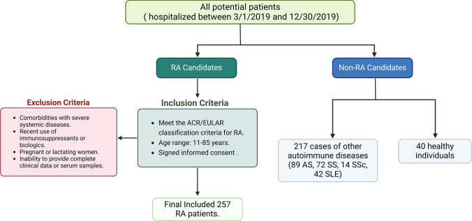 Diagnostic utility and clinical relevance of anti-MCV and anti-CCP antibodies in rheumatoid arthritis.
