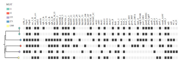 Double-carbapenemase-producing Enterobacteriaceae: complete genome sequencing of isolates from hospitals in Paraguay, 2021.