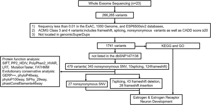 Whole exome sequencing analysis of susceptibility loci in transgender individuals.
