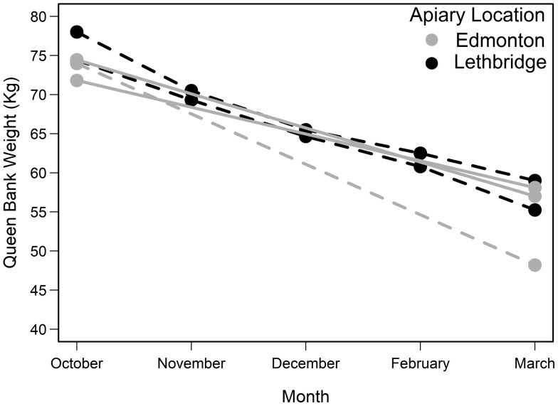 Queen honey bee (Apis mellifera) survival and colony performance after overwintering mated queens indoors.