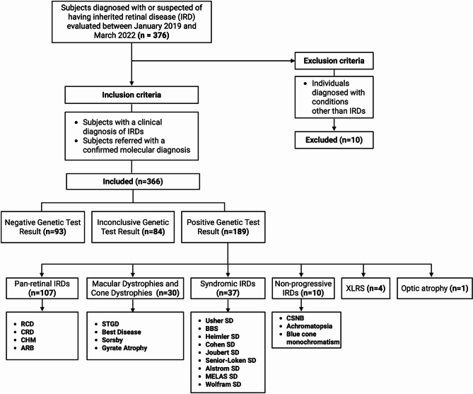 Inherited retinal diseases in Kentucky: diagnostic yield, gene variants, and novel mutations in a U.S. population.