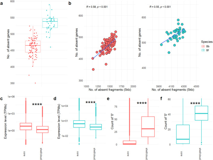 The highly dynamic pangenome of basal chordates is enriched in defence and immunity genes and is inherited following the Mendelian law.