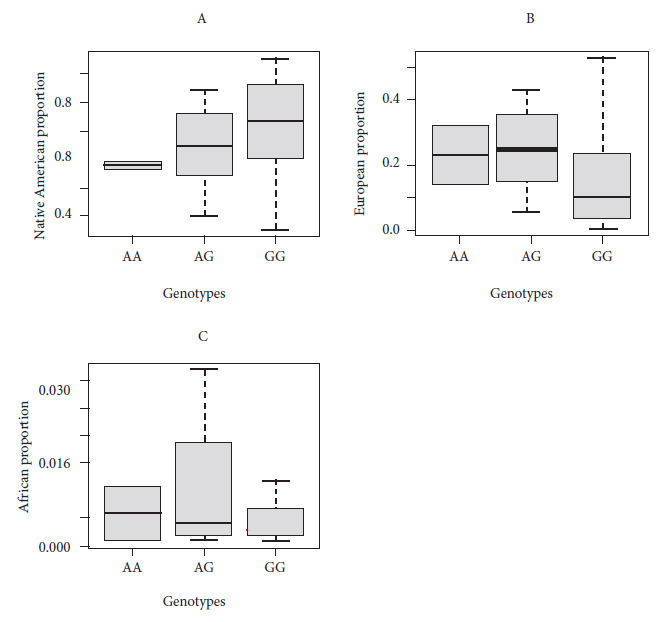 [Genetic ancestry and the SNP RS4988235 of lactose tolerance in the population of Lima].
