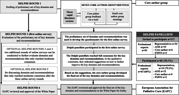 A European Association for Palliative Care White Paper defining an integrative palliative, geriatric, and rehabilitative approach to care and support for older people living with frailty and their family carers: a 28-country Delphi study and recommendations.