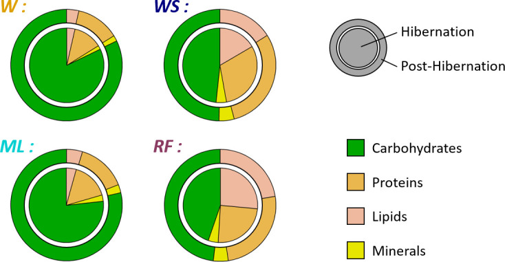 Restoring the common hamster's farmland habitat-how crop associations might benefit <i>Cricetus cricetus</i> hibernation and reproduction.