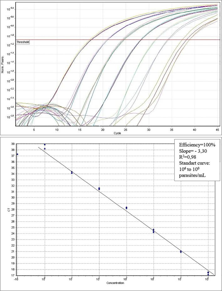 Molecular diagnosis of Chagas disease in patients with megaesophagus exhibiting negative or inconclusive serological results.