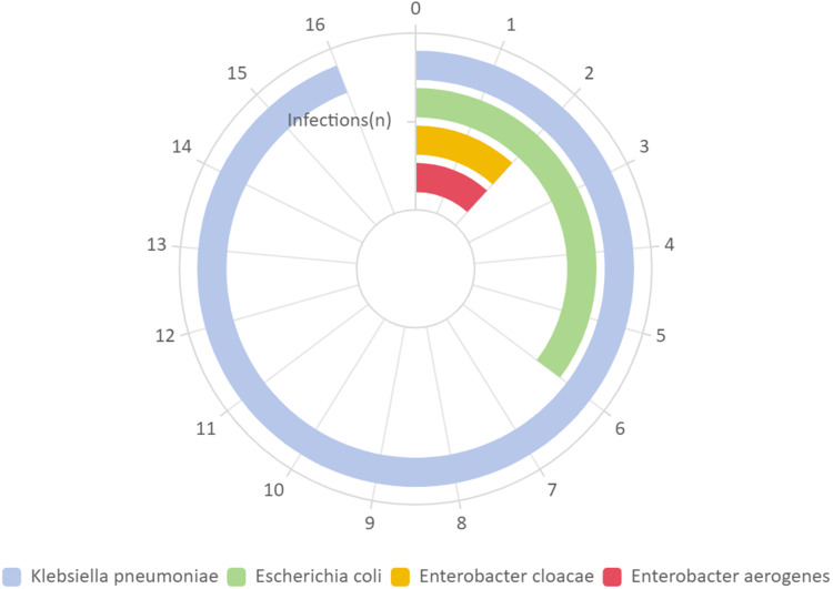 From Screening to Strategy: Targeted Carbapenem-Resistant Enterobacteriaceae (CRE) Infection Prediction After Endoscopic Retrograde Cholangiopancreatography (ERCP).